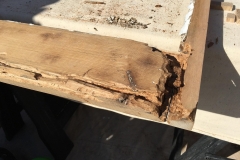 repair-care-2-w