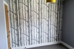 wallpapering-17-w